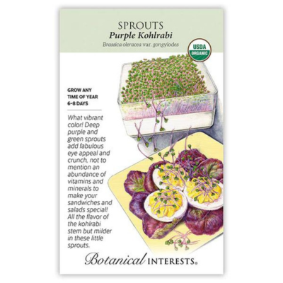 Purple Kohlrabi Sprouts Organic