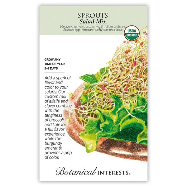 Salad Sprouts Mix Organic