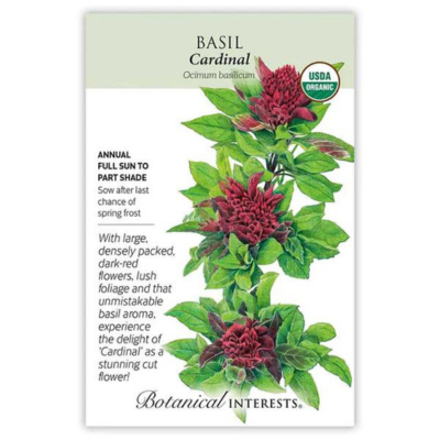 Basil Cardinal Organic