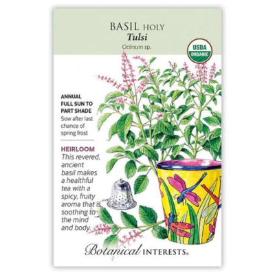 Basil Holy Tulsi Organic
