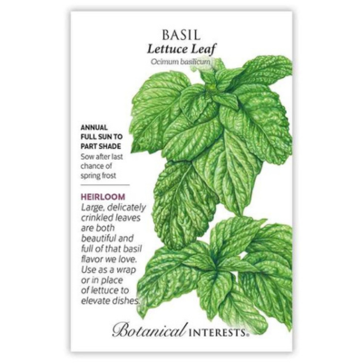 Basil Lettuce Leaf