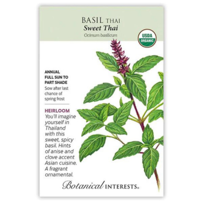 Basil Sweet Thai Organic