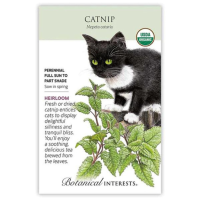 Catnip Organic