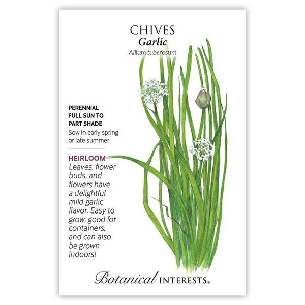 Chives Garlic