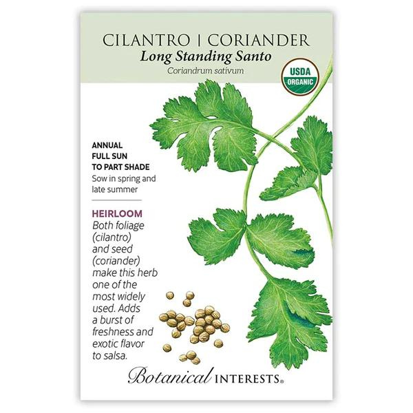 Cilantro Coriander Long Standing Santo Organic