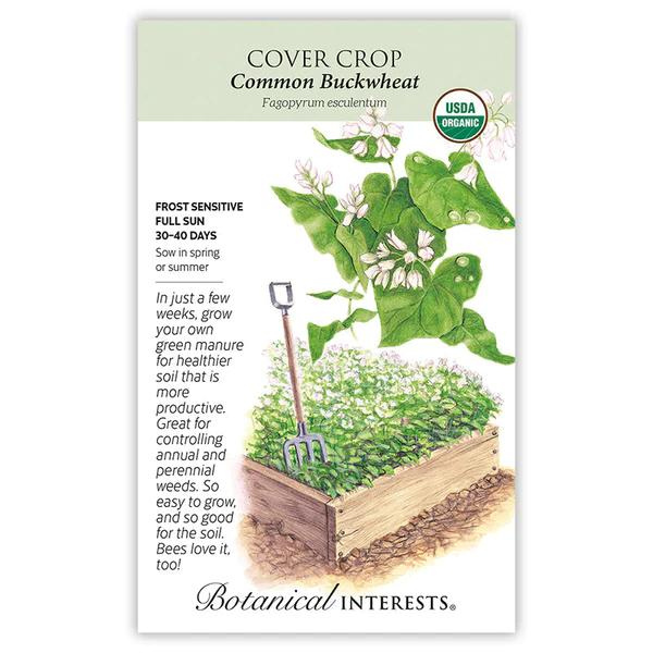 Cover Crop Common Buckwheat Organic