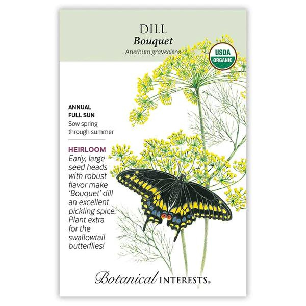 Dill Bouquet Organic