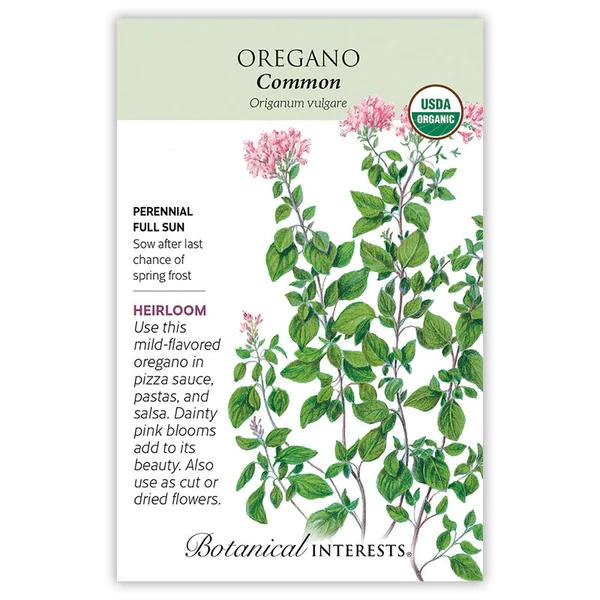 Oregano Common Organic