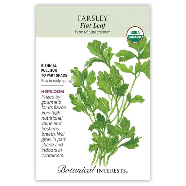 Parsley Green Flat Leaf Organic