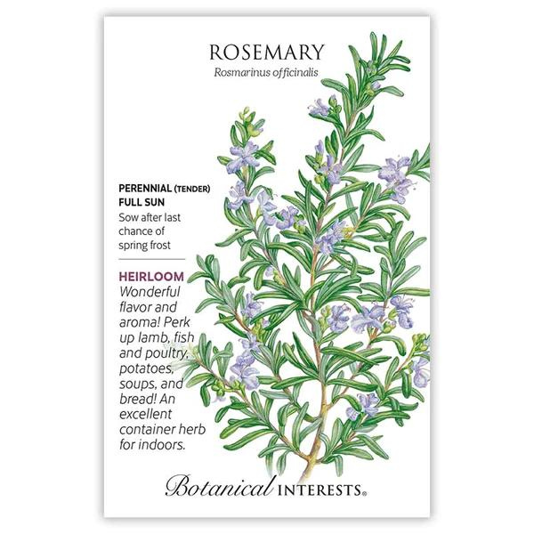 Rosemary