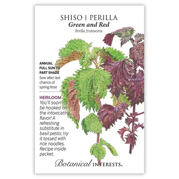 Shiso Perilla Green & Red