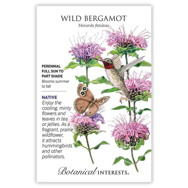 Wild Bergomont