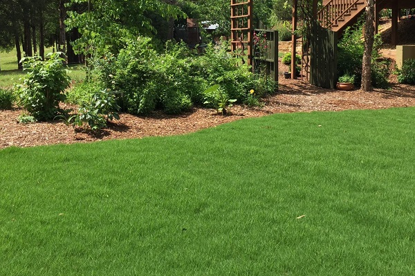 Bermuda Backyard