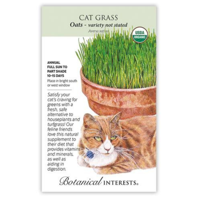 Cat Grass Oats Organic