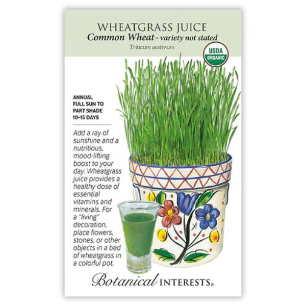 Wheatgrass Juice