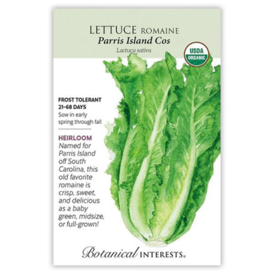 Lettuce Romaine Parris Island Cos Organic