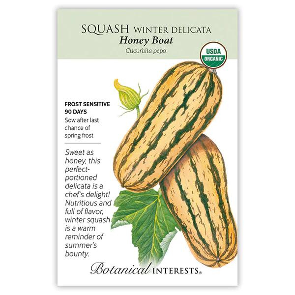 Squash Winter Delicata Honey Boat Organic