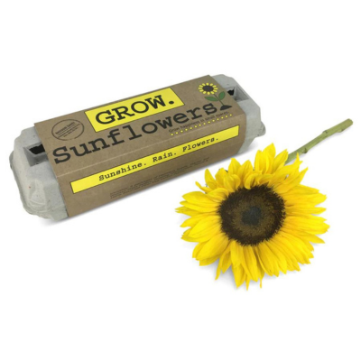 SunFlower Grow Garden Kit