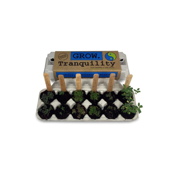 Tranquility Grow Garden Kit 2