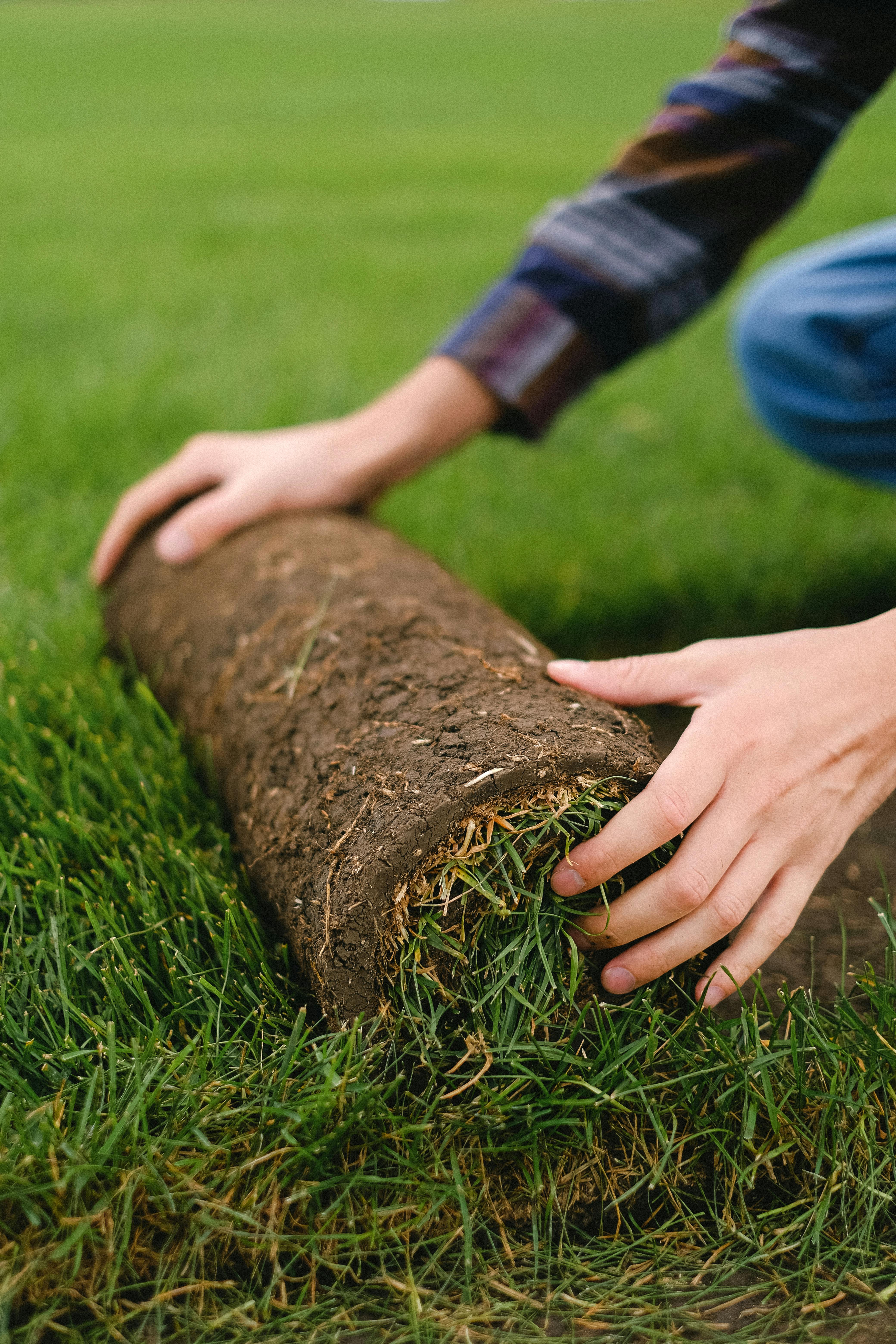 Sod & Lawn Care