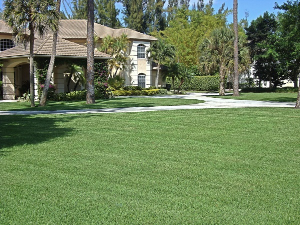 Seville Front Lawn