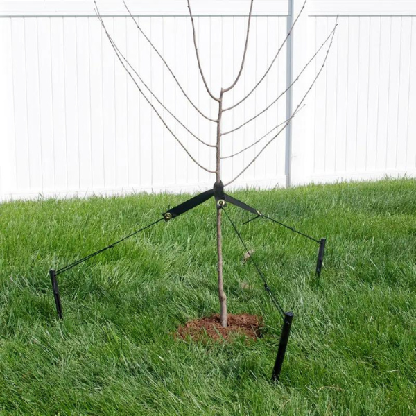 Dewitt Tree Stake Tree