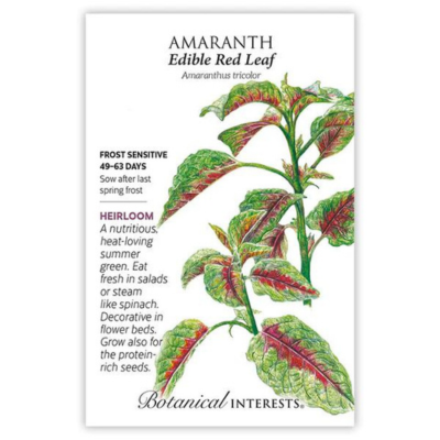 Amaranth Edible Red Leaf