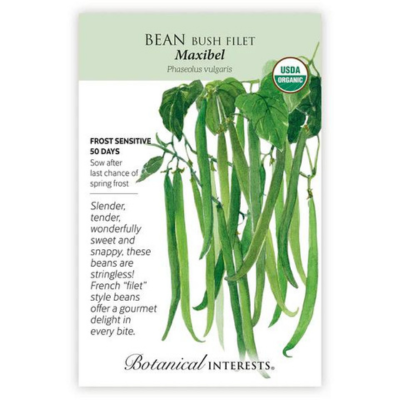 Bean Bush Filet Maxibel Organic
