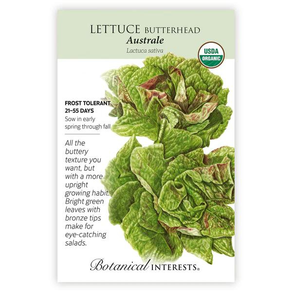 Lettuce Butterhead Australe Organic 