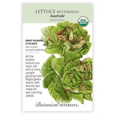 Lettuce Butterhead Australe Organic 