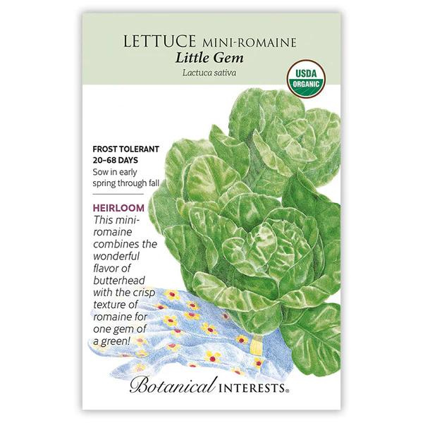 Lettuce Mini Romaine Little Gem Organic