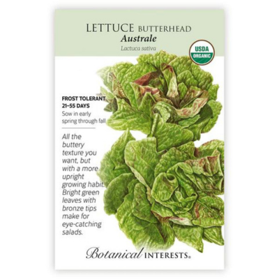 Lettuce Mini Romaine Little Gem Organic