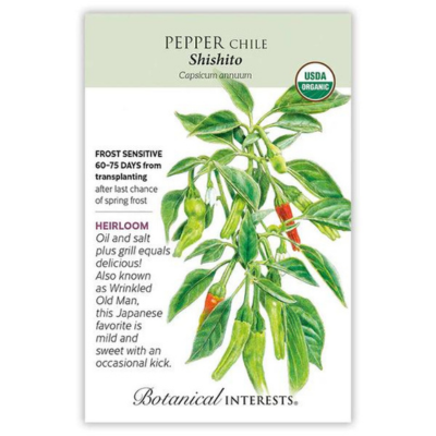 Pepper Chile Shishito Organic 