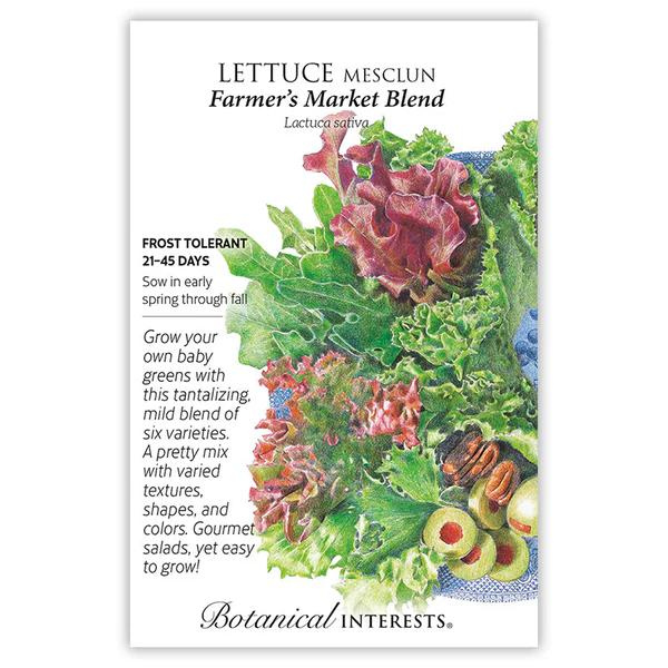 Lettuce Mesclun Farmers Market Blend