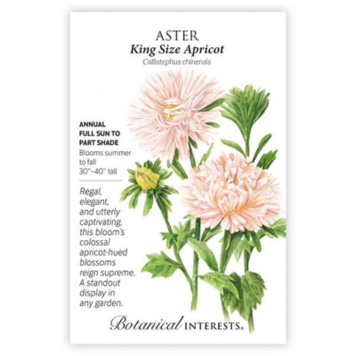 Aster King Size Apricot