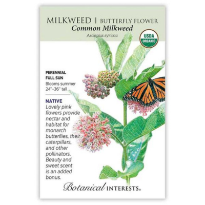 Milkweed Butterfly Flower Common Organic