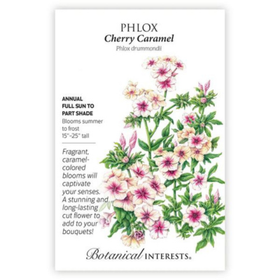 Phlox Cherry Caramel