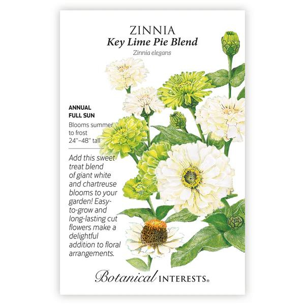 Zinnia Key Lime Pie Blend