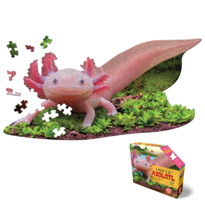 MADD CAPP Puzzle: Axolotl