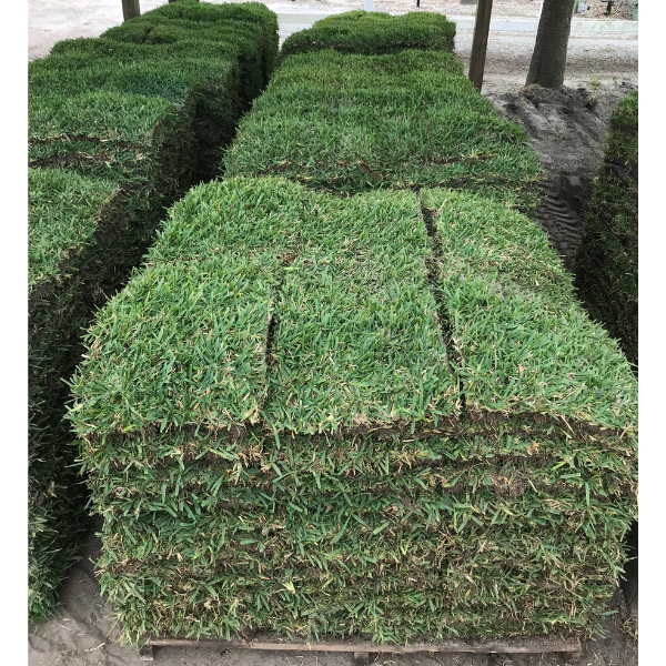 Pallet Sod