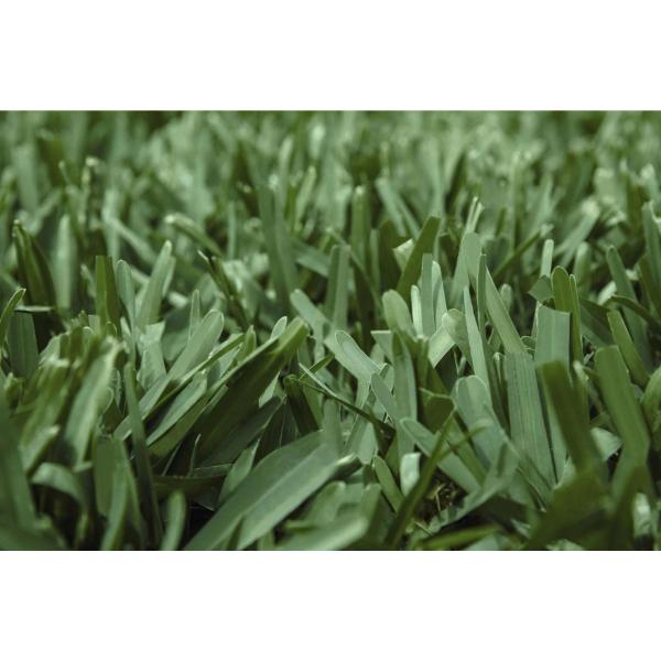 PRE-ORDER St. Augustine Scotts &reg; ProVista� Sod Pallet Home Delivery