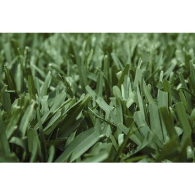 PRE-ORDER St. Augustine Scotts &reg; ProVista� Sod Pallet Home Delivery