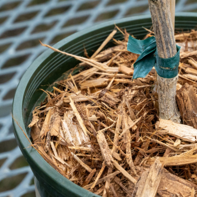 Premium 100% Cypress Mulch Pallet - Home Delivery