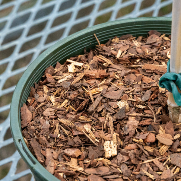 Pine Bark Fines Pallet - Home Delivery