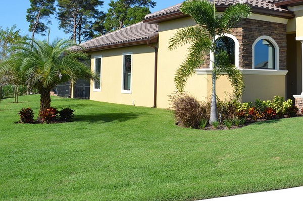 Zoysia Front Lawn