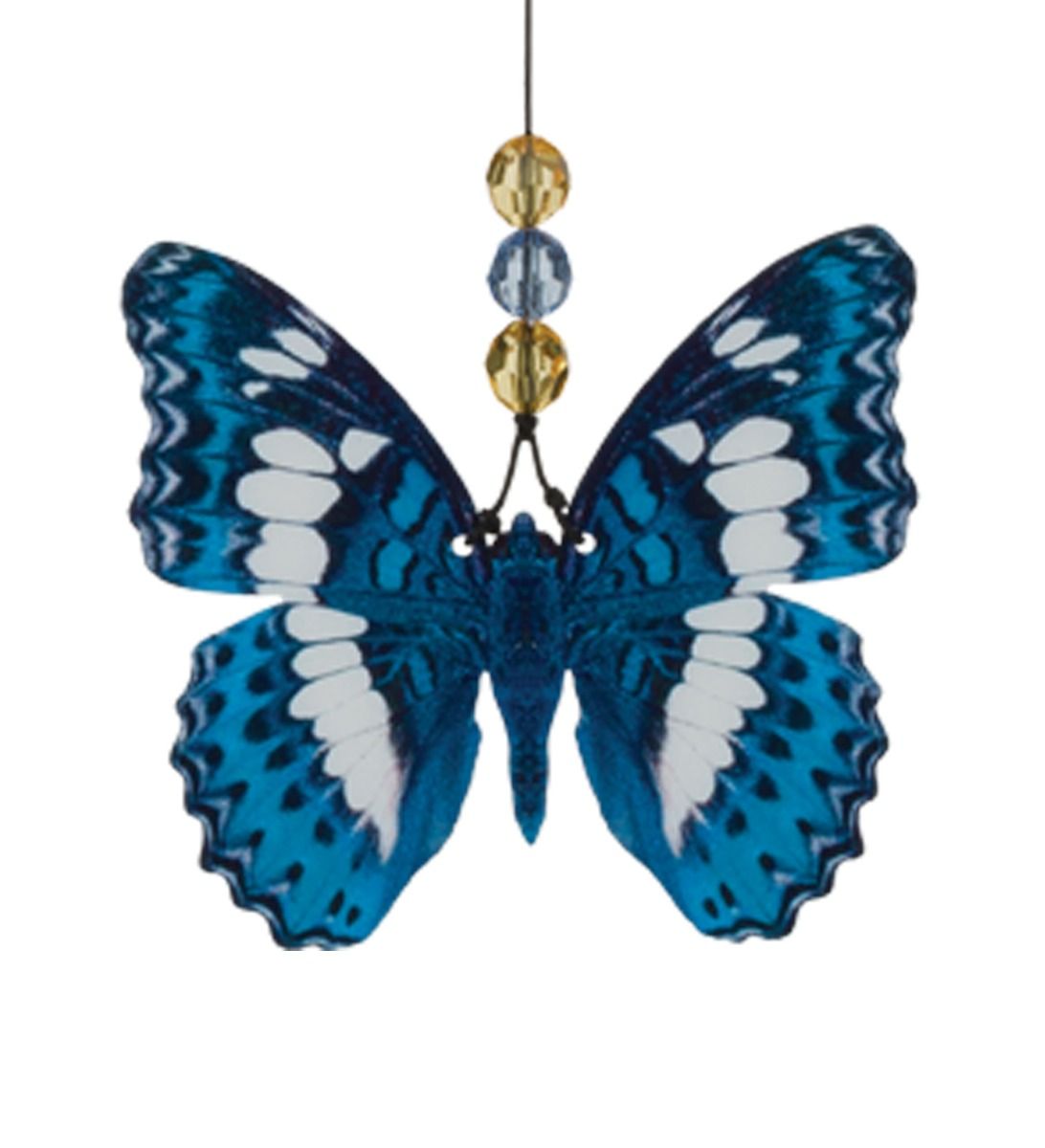 Regal Butterfly Blue Morpho 32