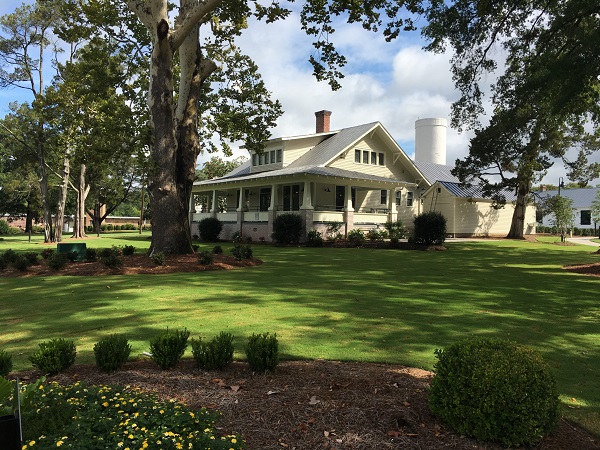 Bermuda Lawn